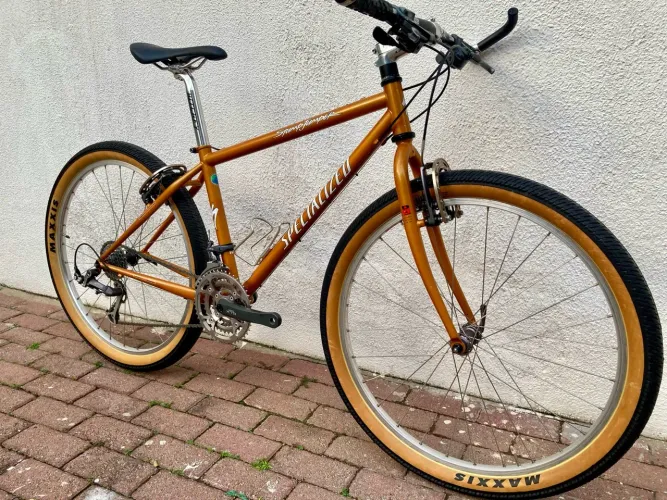 Specialized Stumpjumper - Ritchey Logic - XTR - cromoly