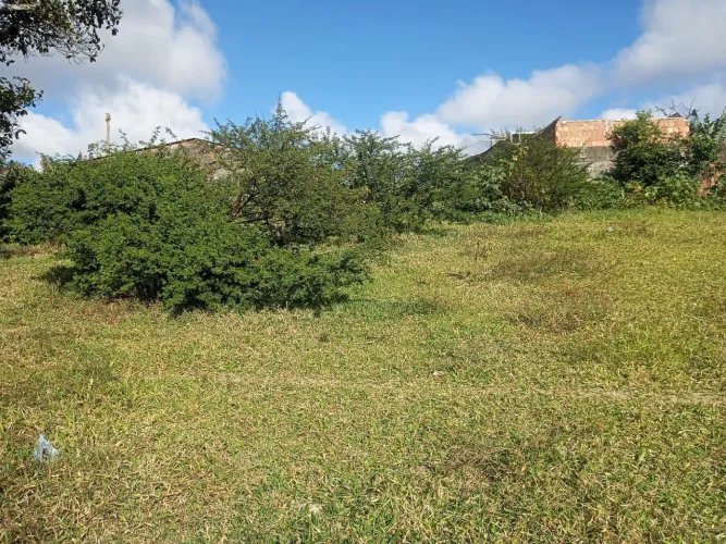 Vendo terreno localizado no loteamento colibri em Manoel cheu Garanhuns-PE