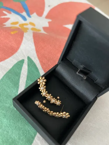 Lindo brincos com pedras e rosas dourado.