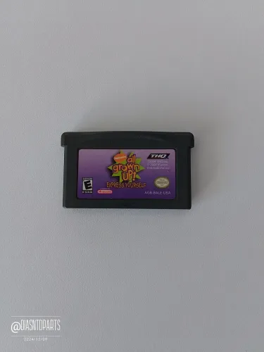 All Grown Up: Express Yourself - Nintendo Game Boy Advance Original
