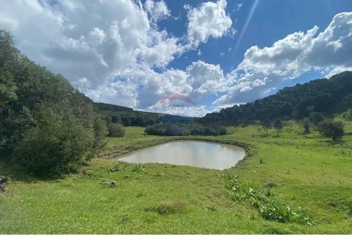 "Chácara dos Sonhos: Refúgio Natural em SC"