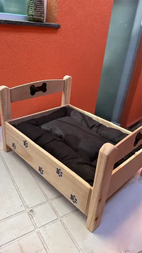 Caminha para Pet ou Gato