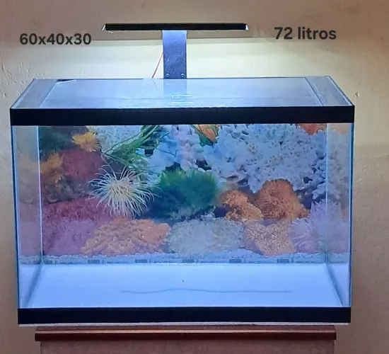 Aquário 72 litros com luminária