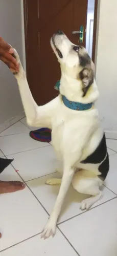 Doação