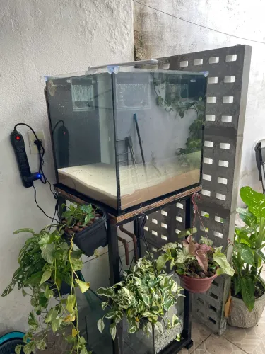 Aquário Cubo 125L com Overflow + Sump - Pronto para Marinho e água doce