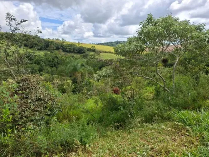 Vendo terreno com 10000 m2 em Piedade dos Gerais
