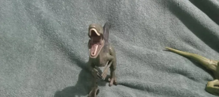 Dinossauro Velociraptor