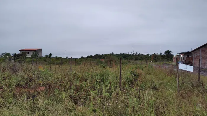 Terreno todo plano