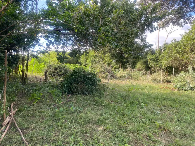 Terreno 