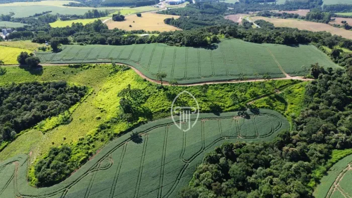 Fazenda na Rodovia à Venda, 103,5 Alqueires por R$ 32.000.000 - Zona Rural - Tibagi/PR