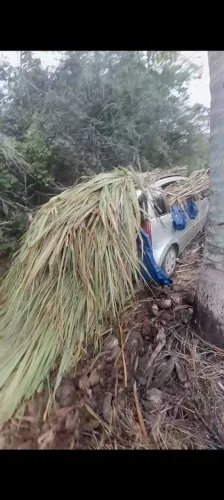 FACA SUA CAPINEIRA DE BRS CAPIAÇU E SORRIA NO VERÃO