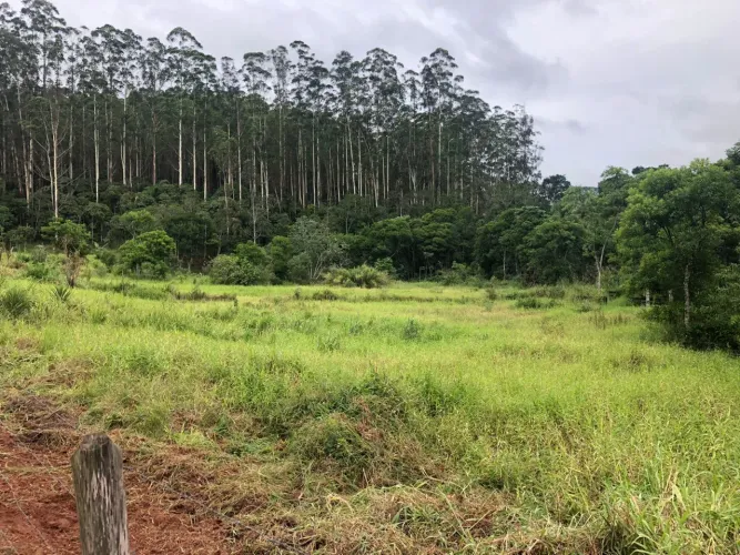Chácara 2.956 m2 plana - Próxima da cidade