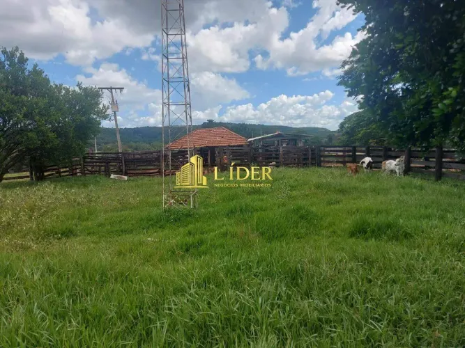 FAZENDA ENTRE CAMPINA VERDE E GURINHATÃ- ÁREA 100 ALQUERES