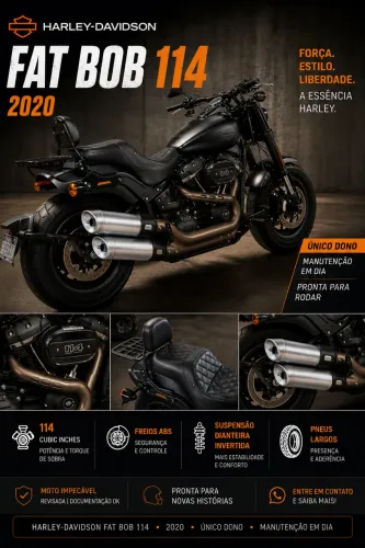 Harley Davidson Fat bob 114 19/20