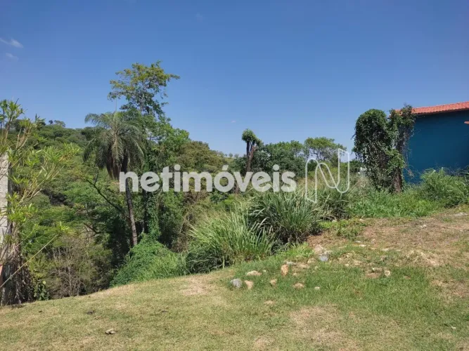Lote em Declive com Vista Permanente no Vale do Tamanduá