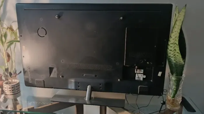 Televisão