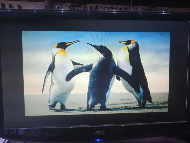 Monitor AOC 22 polegadas, VGA e DVI