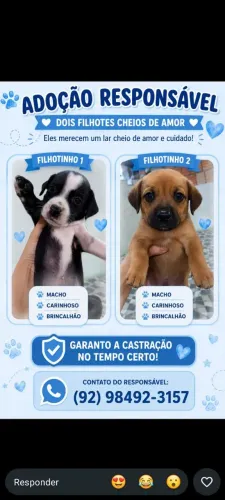 Adoção responsável