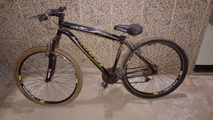 Bicicleta