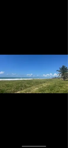 Vendo lote em lagoa do pau