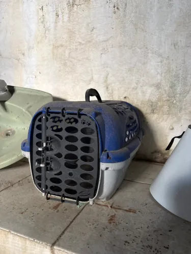 Para sair hoje!! Casa de transporte de cão e gato pequeno
