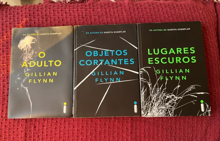 Livros Kit Gillian Flynn (3 livros) o adulto/ objetos cortantes/ lugares escuros