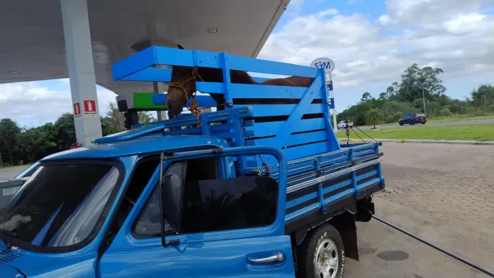 Brete para carregar cavalo