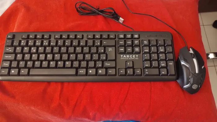 Teclado e mouse.