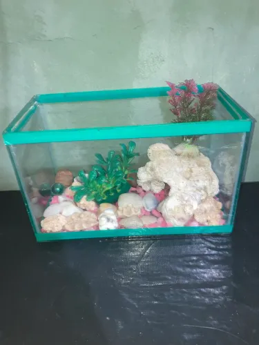 Aquário 5 L com enfeites e corais
