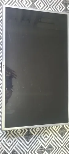 Televisão
