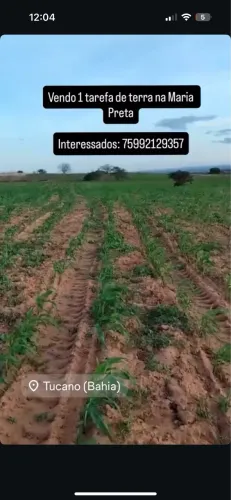 1 tarefa de terra 