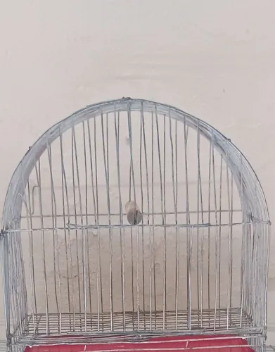 Gaiola de ferro, com forro. Faço entrega