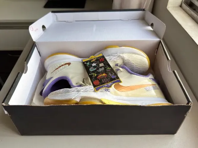 Nike LeBron Witness V ? Summit White / Metallic Bronze (CQ9380-102)