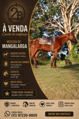 Cavalo alazão