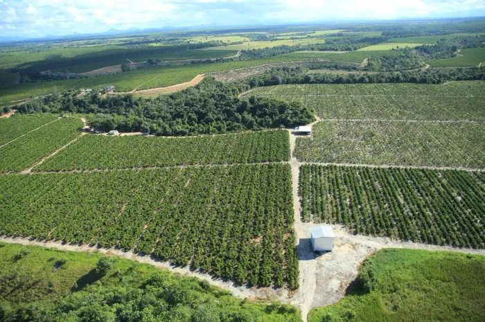 Fazenda Rodovia Itabela