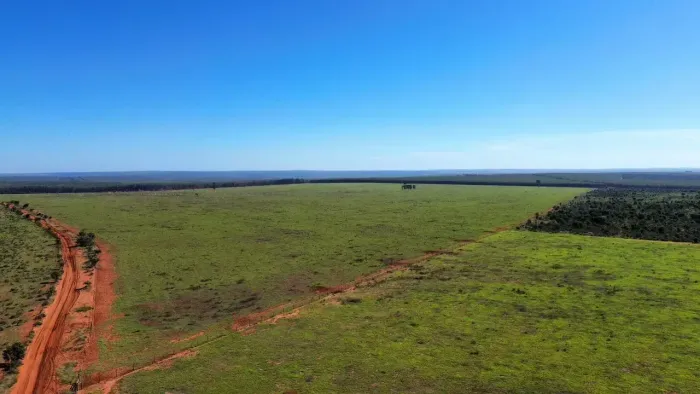 FAZENDA COM 4.700 HECTARES A VENDA EM RIBAS DO RIO PARDO