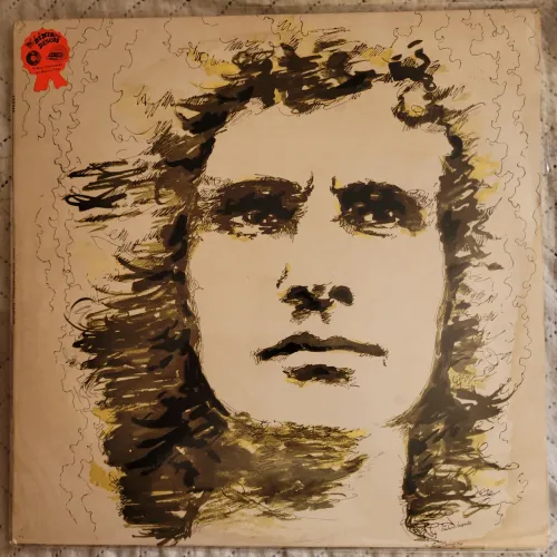 Disco de Vinil Roberto Carlos (1971) LP Clássico - Excelente Estado!