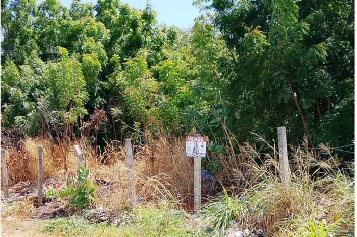 Terreno em Precabura: 660m², Oportunidade!