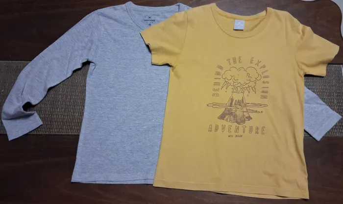 2 camisetas hering kids