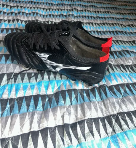 Morelia  mizuno (aceito troca)