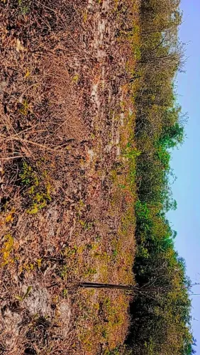 Terreno 20x60