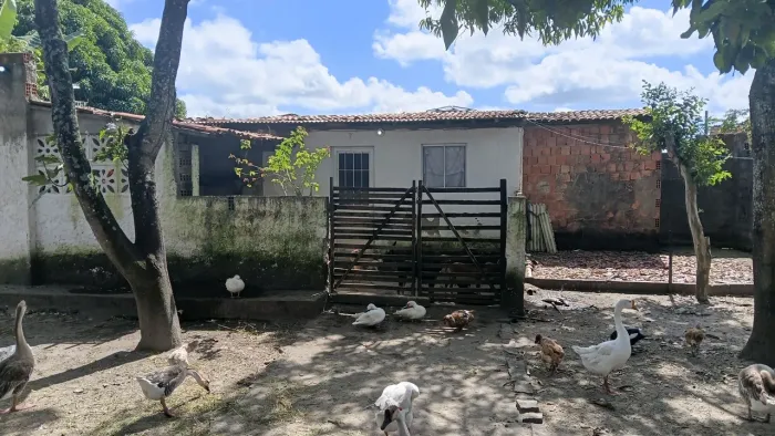 Santa Luzia do Norte
