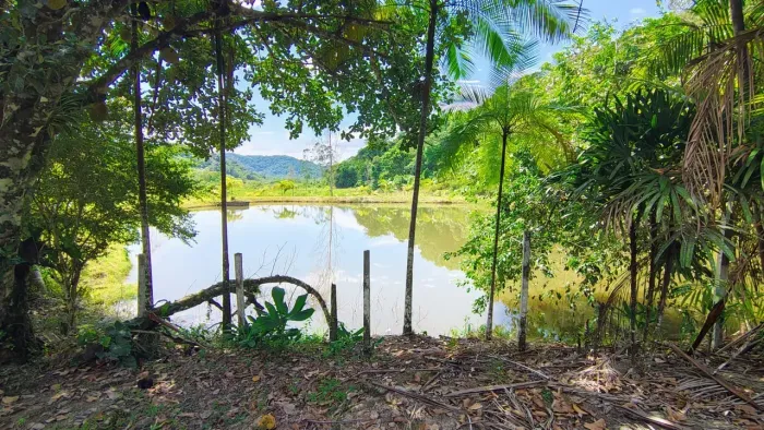 7,5 ALQUEIRES PRONTO PRA MORADIA COM 2 LINDOS TANQUES DE PEIXE E PISCINA EM ELDORADO/SP