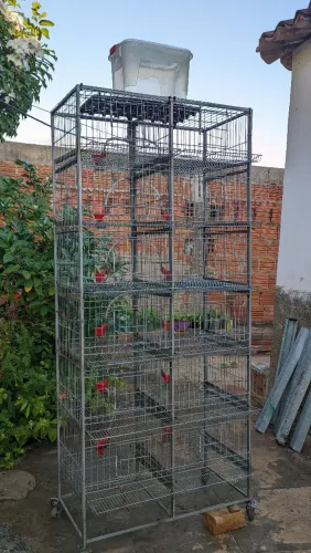 Gaiolas para codorna
