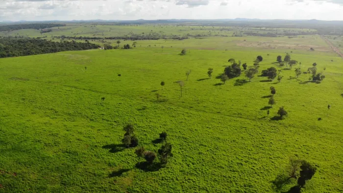 Fazenda 7.400 hác. Em nova Motim MT. R$:140 milhões.