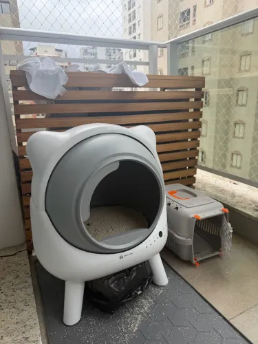 Cadinha para gato fazer xixi