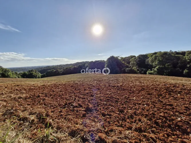 Chácara em Araucária / Colônia Cristina