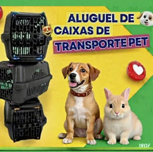 Aluguel de caixas de transporte pet 