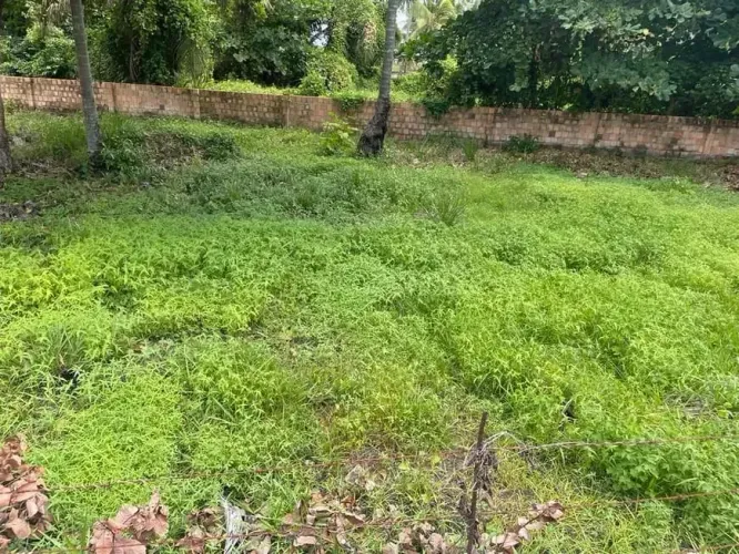 Lote em Sirinhaém - perto do mar - Oportunidade!!