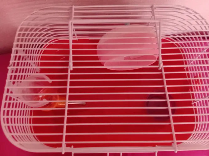 Gaiola hamster pequena